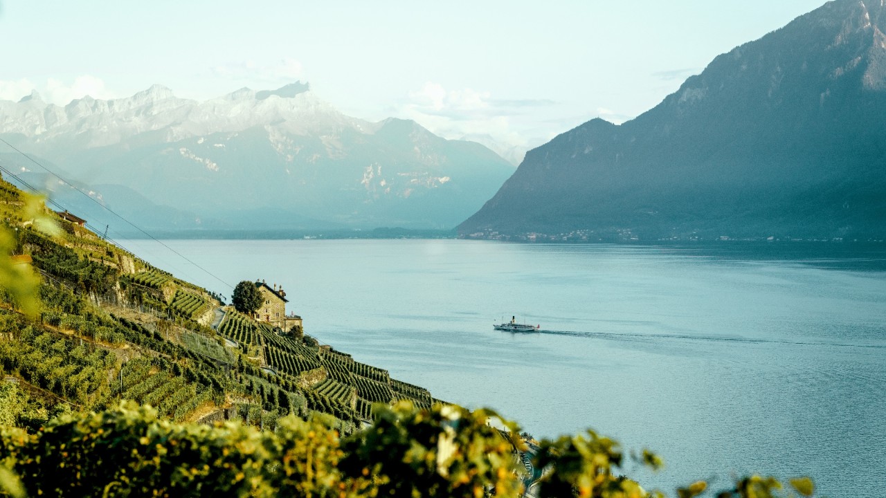 俯瞰日内瓦湖，以葡萄园为主