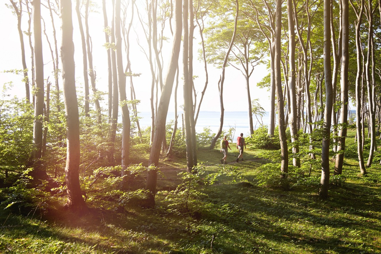 Parco nazionale di Jasmund