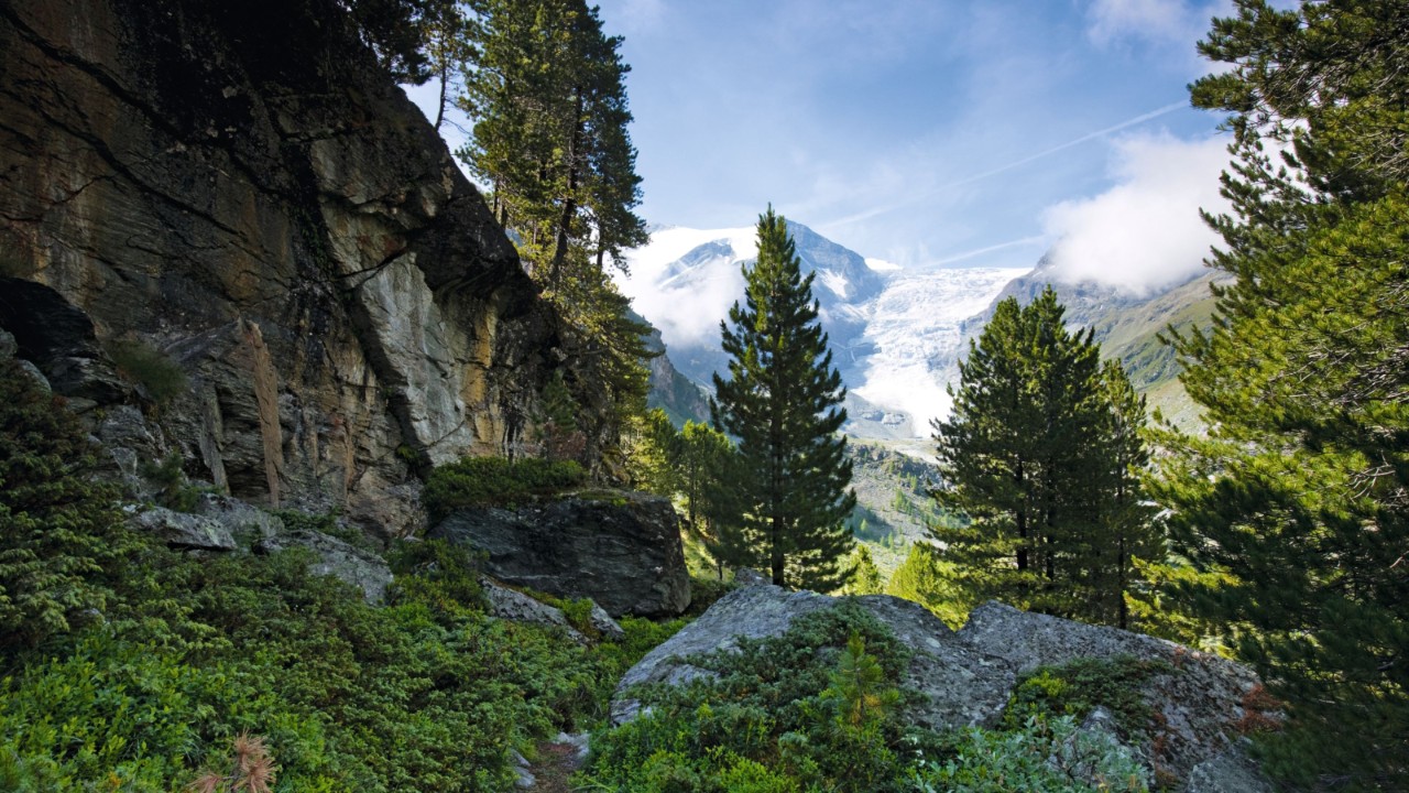 In primo piano, il grigio dei cumuli di roccia si fonde con il verde della vegetazione. La parete rocciosa a sinistra lascia libero uno spazio al centro, rivelando in lontananza un panorama di pascoli che lambiscono le cime innevate delle Alpi. Al centro della foto, conifere e latifoglie conferiscono rilievo e vitalità al paesaggio.