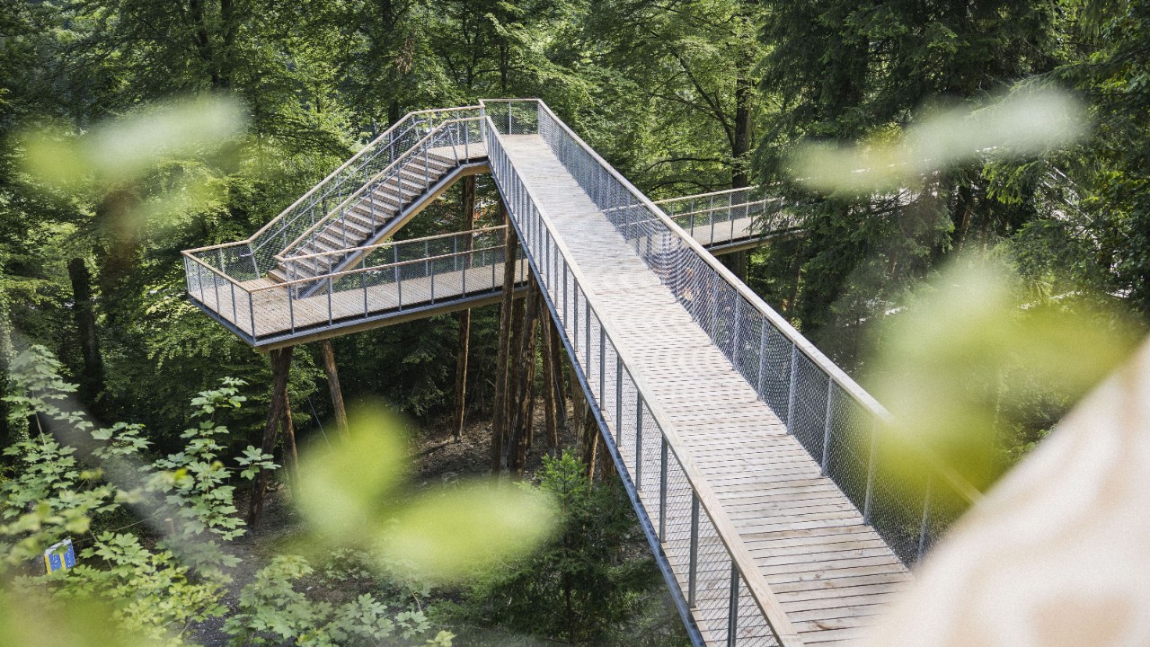 Image of the Schlaufensteg walkway.