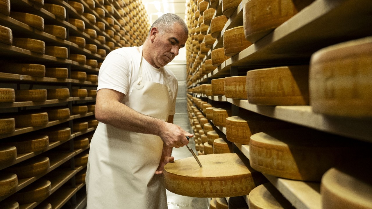 A man working with large round cheeses between high shelves. 