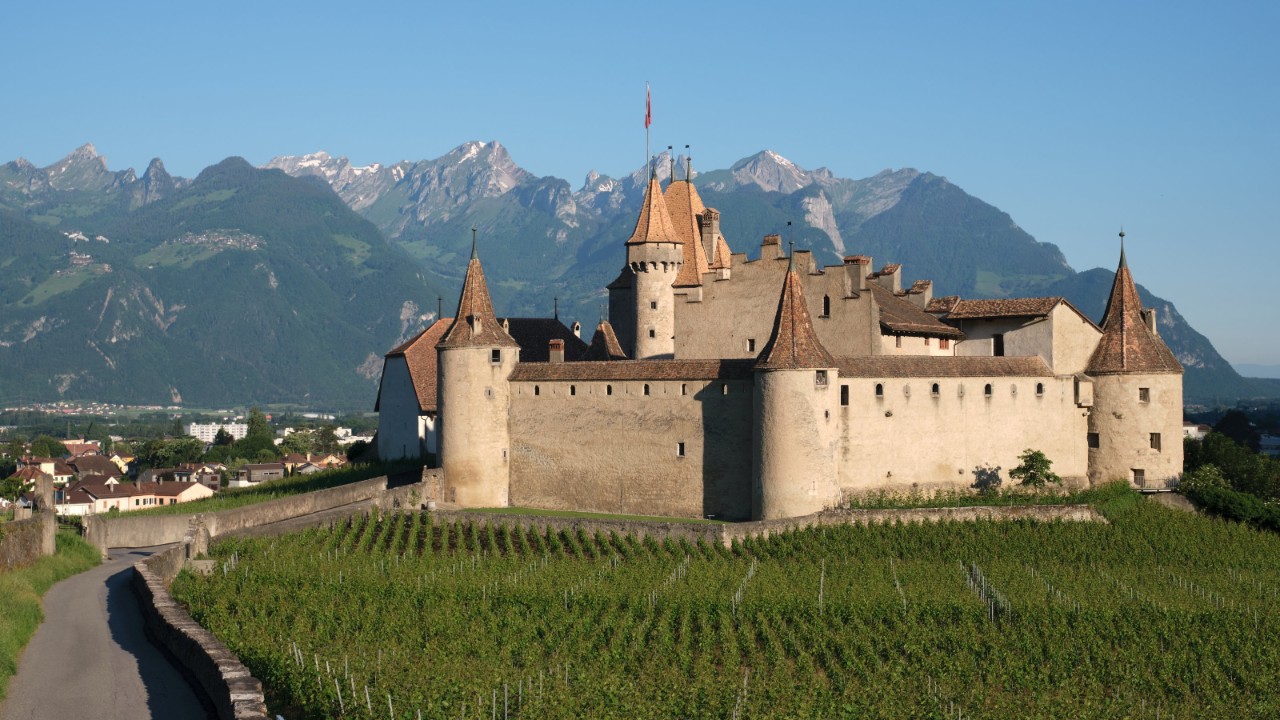Au premier plan, on aperçoit les vignes qui s’étendent jusqu’au pied du château d’Aigle. Le château, entouré de hautes murailles blanchâtres, laisse apparaître les toits pointus de quatre tours. À gauche une route bordée d’un muret mène vers le château. Dans le fond à gauche se devine la ville tapie au pied du château. En arrière-plan les Alpes se découpent sur un ciel bleu limpide.