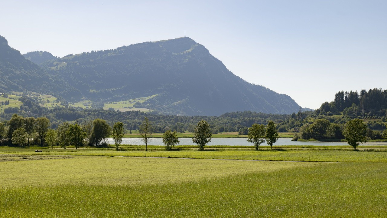 The Rigi with part of Lake Lauerz in the foreground, surrounded by meadows and trees.