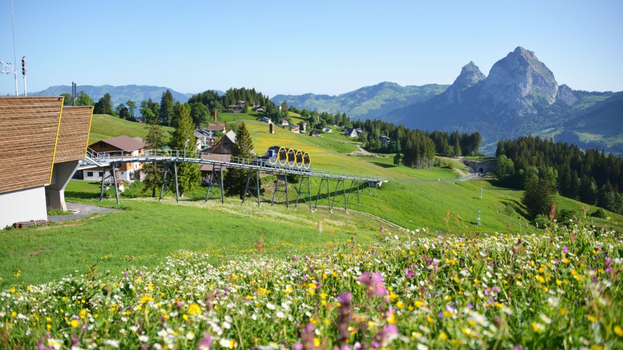 In the foreground is a flowering meadow and in the background the Stoos railway arrives at the mountain station