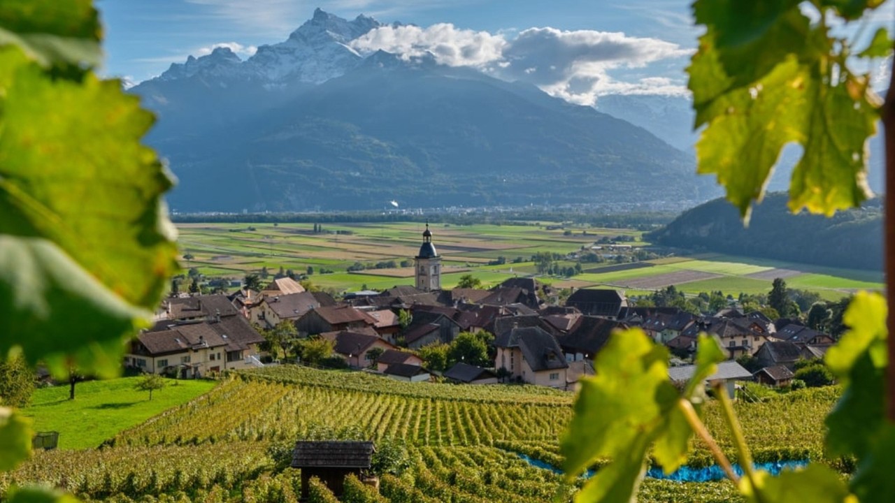 Vue sur un village traditionnel du Chablais, entouré de vignobles, avec en arrière-plan une majestueuse chaîne de montagnes partiellement recouverte de nuages. Au premier plan, de grandes feuilles de vigne encadrent l’image, ajoutant de la profondeur à la scène baignée de lumière.